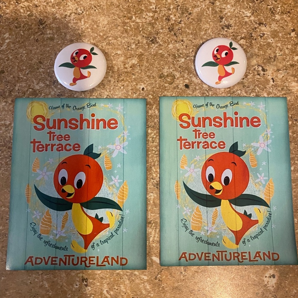 ORANGE BIRD DISNEY MAGNET & PIN SET X2 !!
